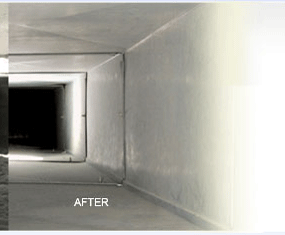 Air Duct Dust Mite Cleaning