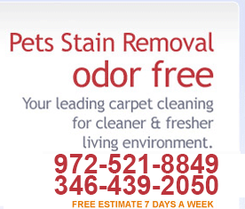 Carpet Stains Removal