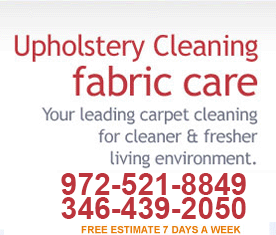 Sofa Cleaning
