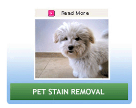 Pet Stain Removal