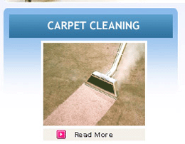 Carpet Cleaning